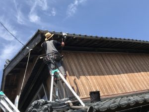 IMG_0906
