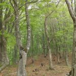 なんちゃって登山隊　5月3日　