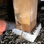 シロアリの季節がやってきましたΣ(ﾟДﾟ)