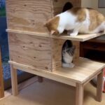 ねこ小屋DIY🐈